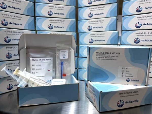 Marine Ich and Velvet activeID Rapid Test (PRE-ORDER)
